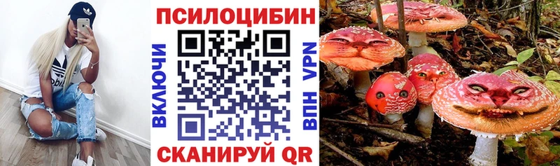 omg зеркало  Вологда  Галлюциногенные грибы Psilocybe  где купить наркоту 